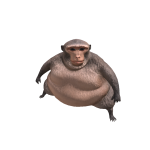 secretfreec0des