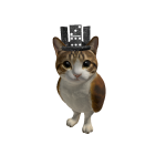 Razuatix