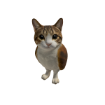 Marian_Dev