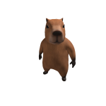 NotFarhan