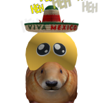 PMdamiann