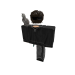 Sardiception
