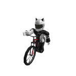 aviks57