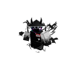 ctpenguin909