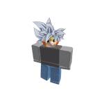 VorportalHolder