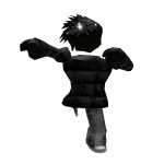 briz_developer