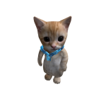 SwipeGamesHolder